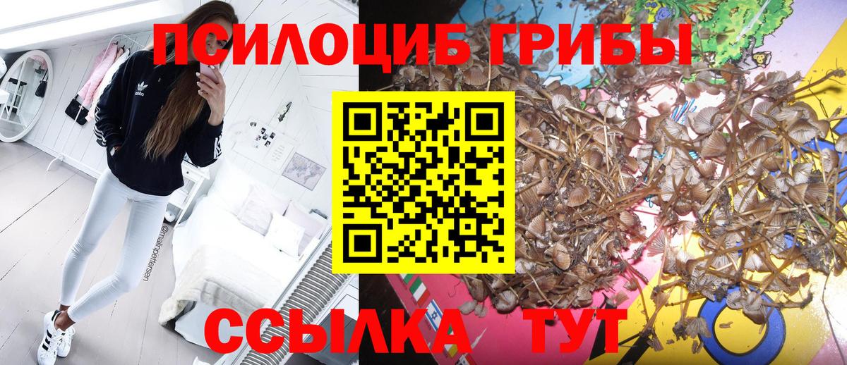 Псилоцибиновые грибы MAGIC MUSHROOMS Каспийск