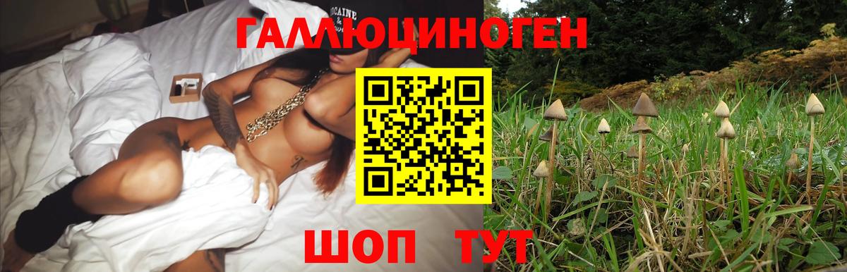 Галлюциногенные грибы мухоморы  Галлюциногенные грибы Magic Shrooms  Вход с VPN  продажа наркотиков  Каспийск 